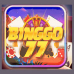 BingGo77 Game