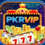 PkrVip Game