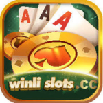 Winli Slots Game