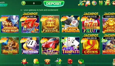 Winli Slots Game